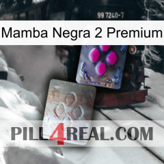 Black Mamba 2 Premium 38